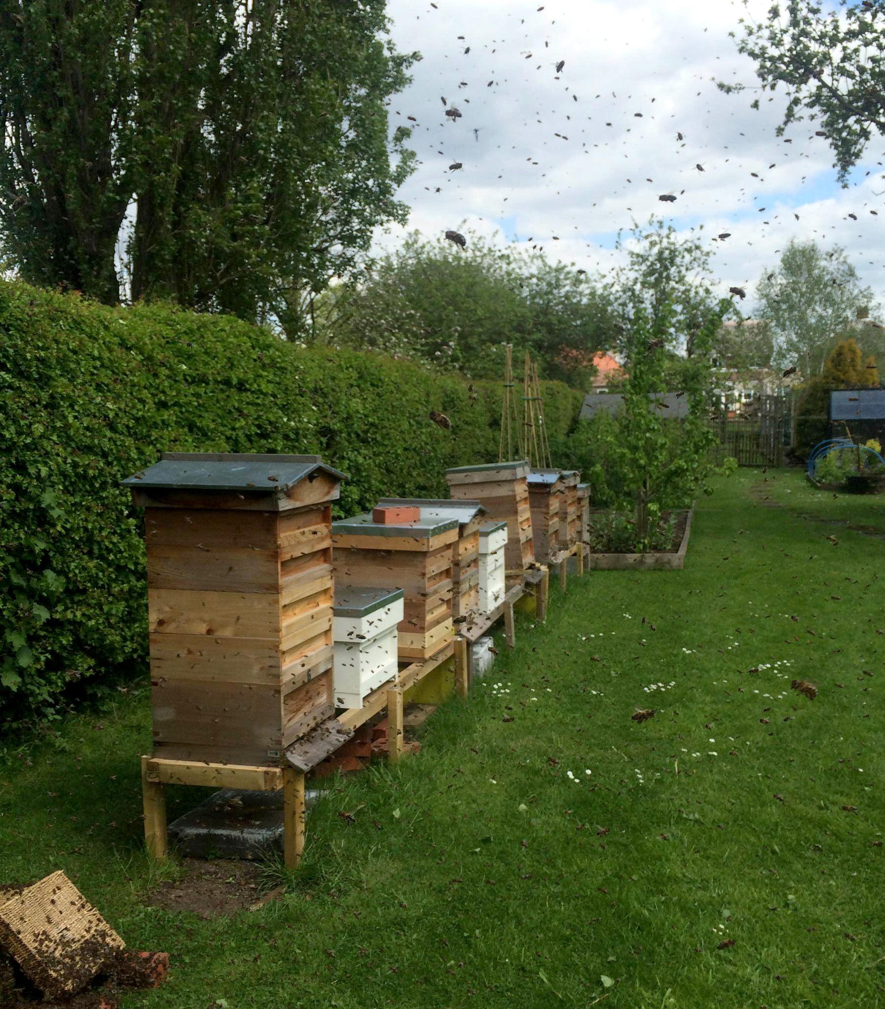 Hucknall Honey Hives